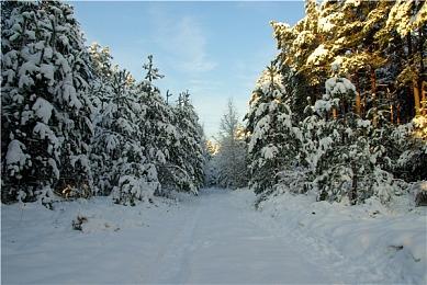 Moon Studios已对奥日系列新作有了初步设想